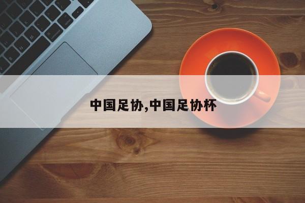 中国足协,中国足协杯