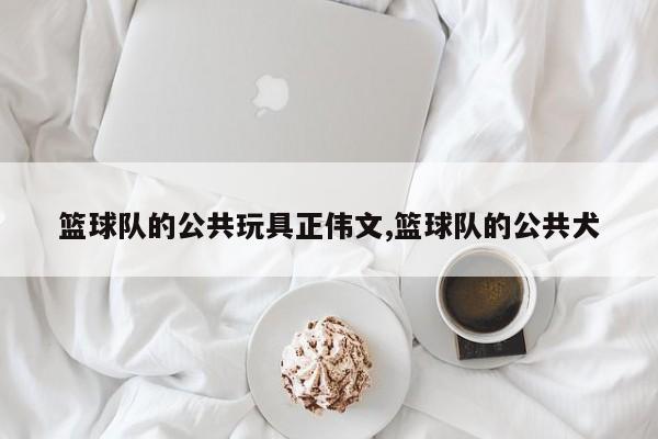 篮球队的公共玩具正伟文,篮球队的公共犬