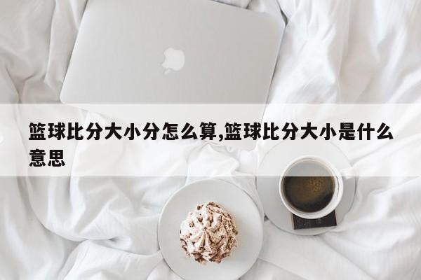 篮球比分大小分怎么算,篮球比分大小是什么意思