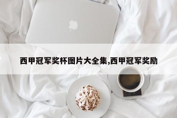 西甲冠军奖杯图片大全集,西甲冠军奖励
