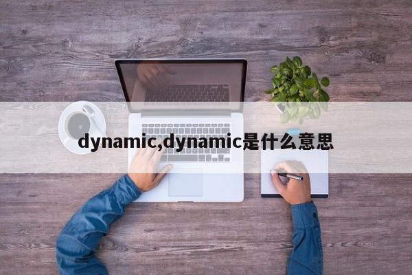 dynamic,dynamic是什么意思