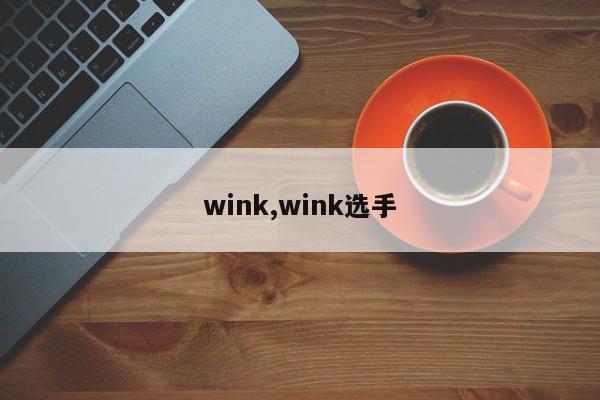 wink,wink选手
