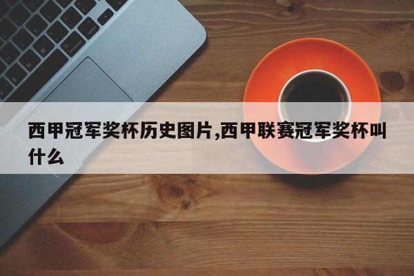 西甲冠军奖杯历史图片,西甲联赛冠军奖杯叫什么