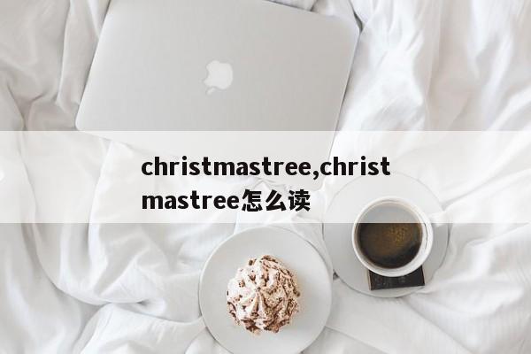 christmastree,christmastree怎么读